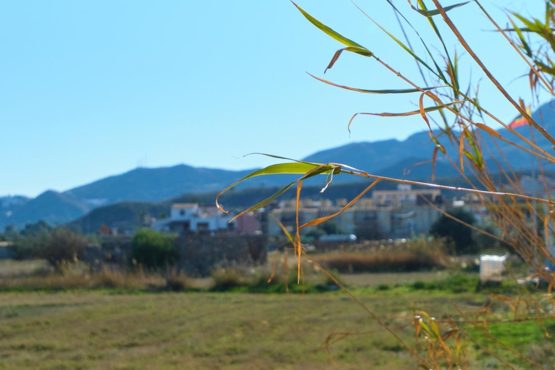 Alquiler a largo plazo - Cortijo - Turre