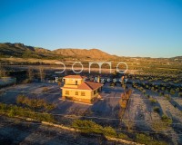 Alquiler a largo plazo - Villa - Tijola