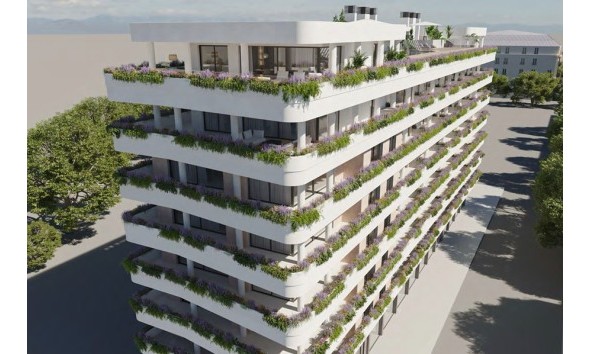 Apartamento / piso - Obra nueva - Estepona - Estepona