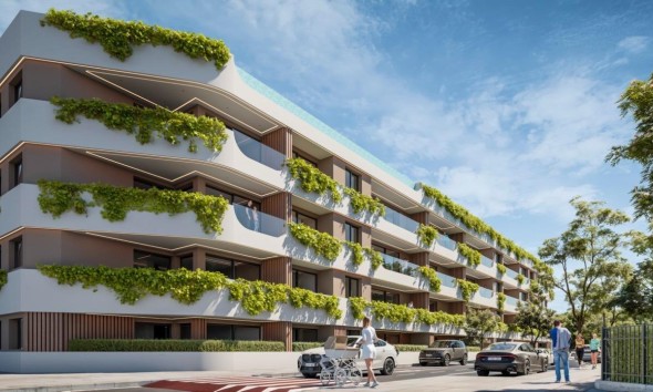 Erdgeschoss - Neue Gebäude - San Pedro Alcántara - NB-68507
