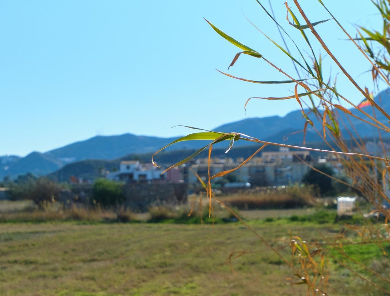 Location à long terme - Maison de campagne - Turre