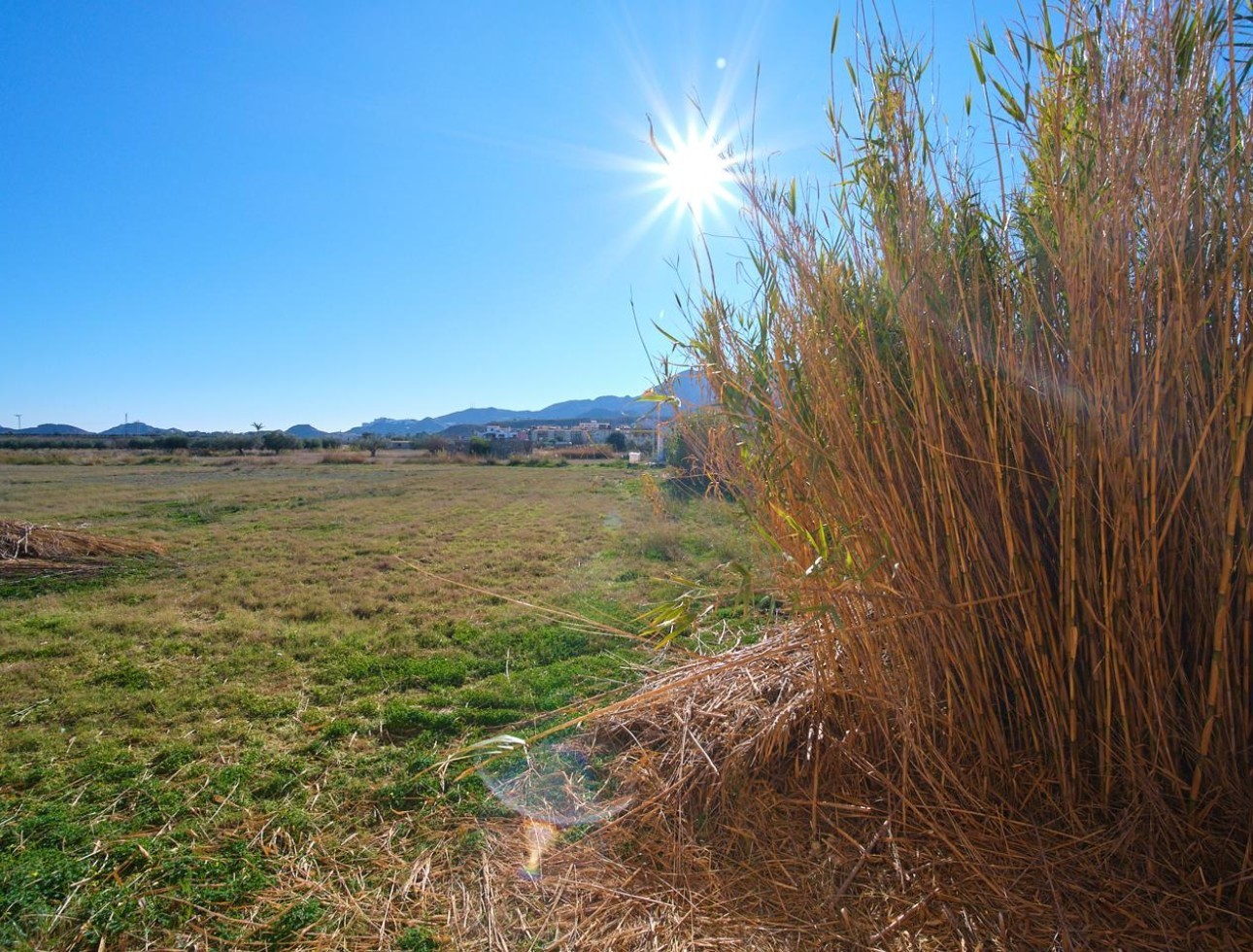 Location à long terme - Maison de campagne - Turre