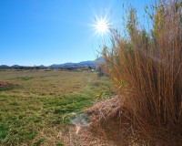 Location à long terme - Maison de campagne - Turre