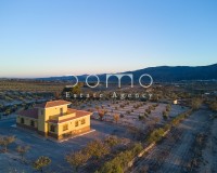 Location à long terme - Villa  - Tijola