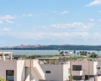 Neue Gebäude - Einfamilienhaus - Ciudad Quesada