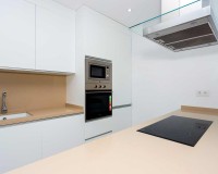 Neue Gebäude - Einfamilienhaus - Daya Nueva