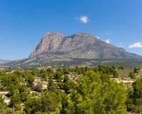 Neue Gebäude - Einfamilienhaus - Finestrat
