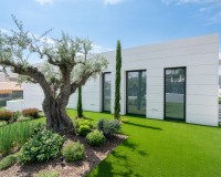 Neue Gebäude - Einfamilienhaus - Molina de Segura