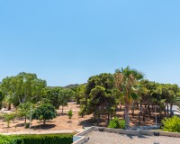 Neue Gebäude - Einfamilienhaus - Playa Paraiso