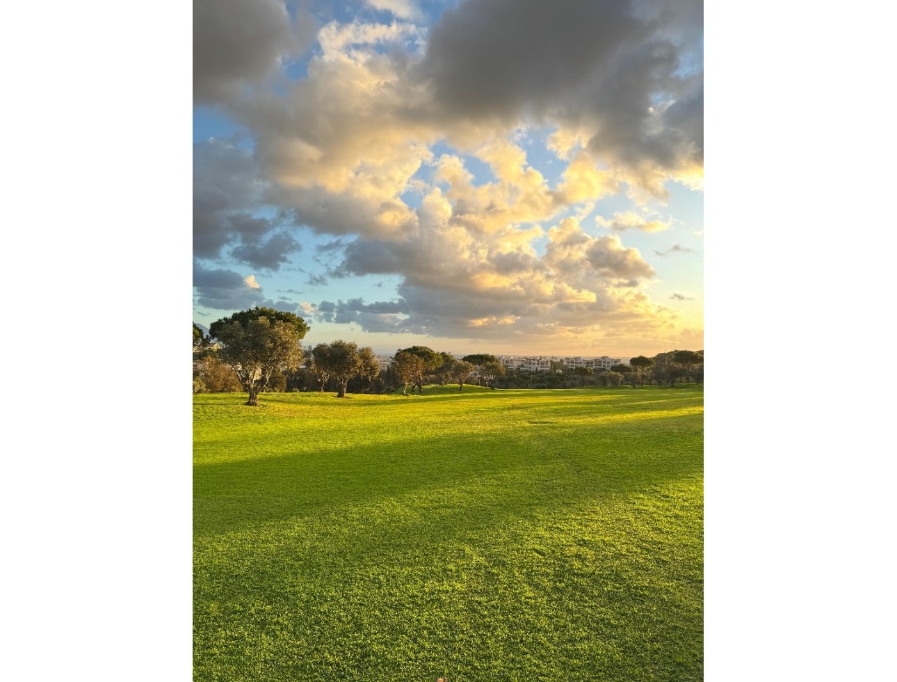 Neue Gebäude - Erdgeschoss - Las Lagunas de Mijas