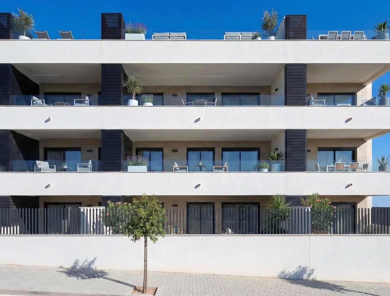 Neue Gebäude - Penthouse - Benijófar