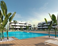 Neue Gebäude - Penthouse - Guardamar del Segura