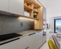 Neue Gebäude - Penthouse - Guardamar del Segura