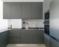 Neue Gebäude - Penthouse - Torrevieja