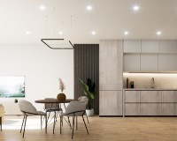 Neue Gebäude - Penthouse - Torrevieja