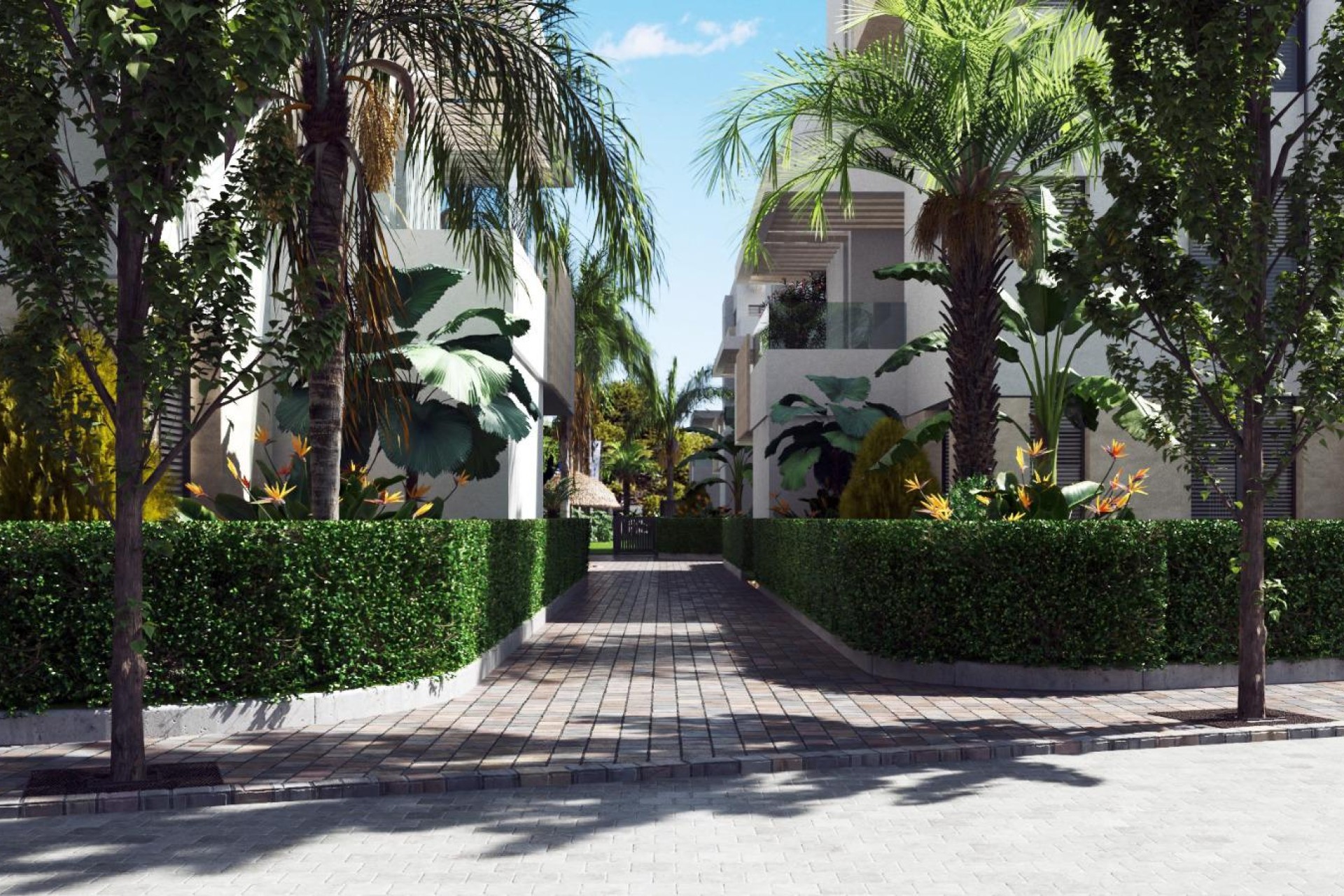 New Build - Apartment / flat - Torre-Pacheco