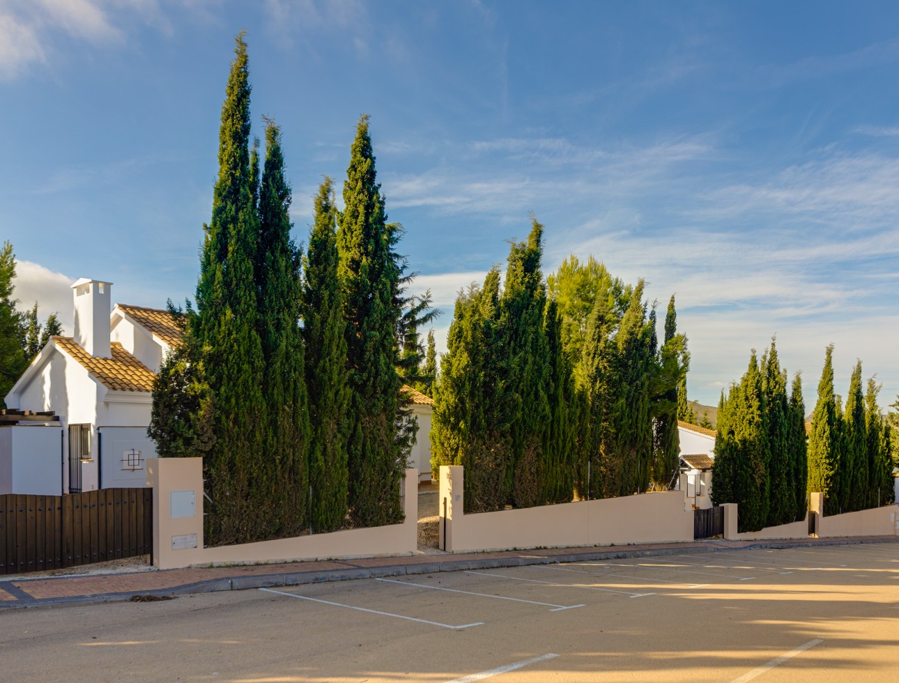 New Build - Detached - Fuente Alamo