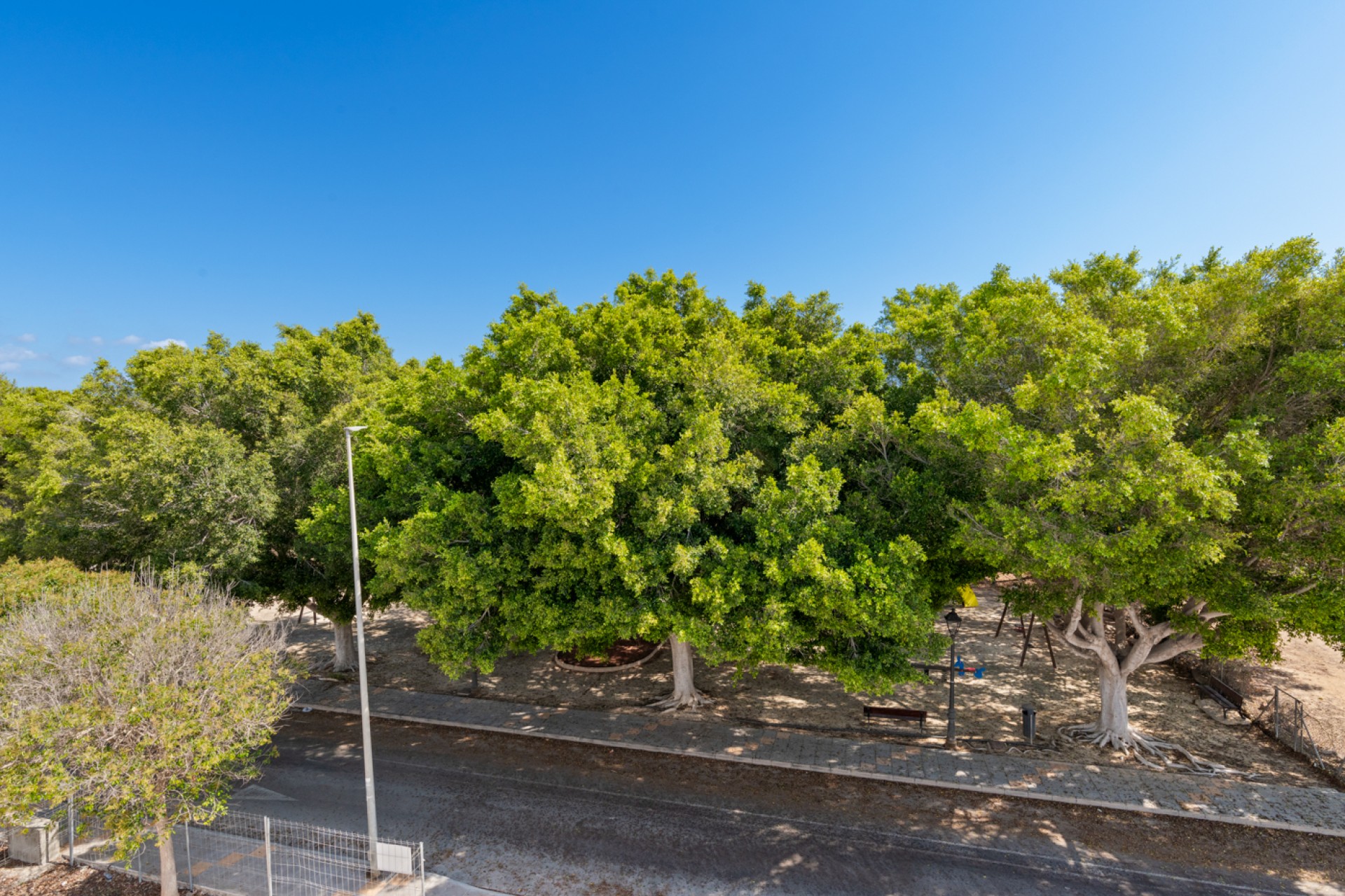 New Build - Detached - Mil Palmeras
