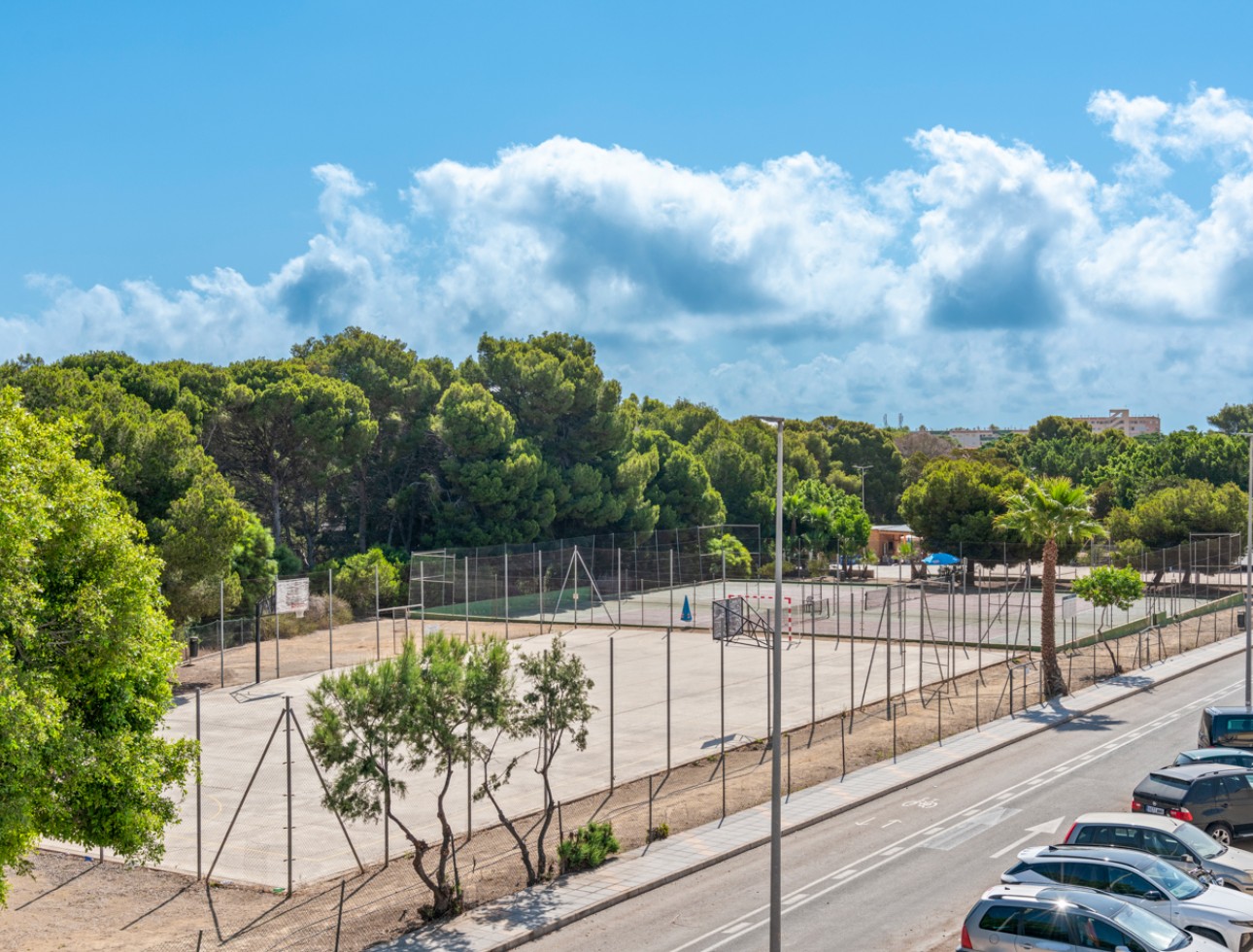 New Build - Detached - Pilar de la Horadada