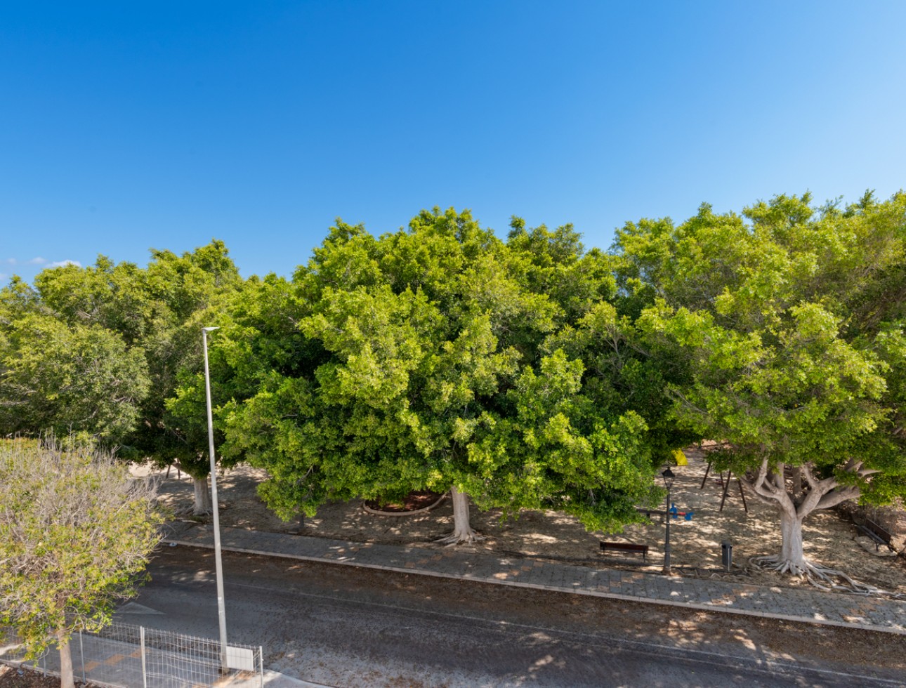 New Build - Detached - Pilar de la Horadada