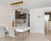 New Build - Detached - Playa Paraiso