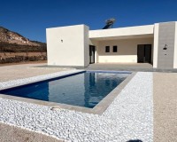 New Build - Detached - Torre del Rico