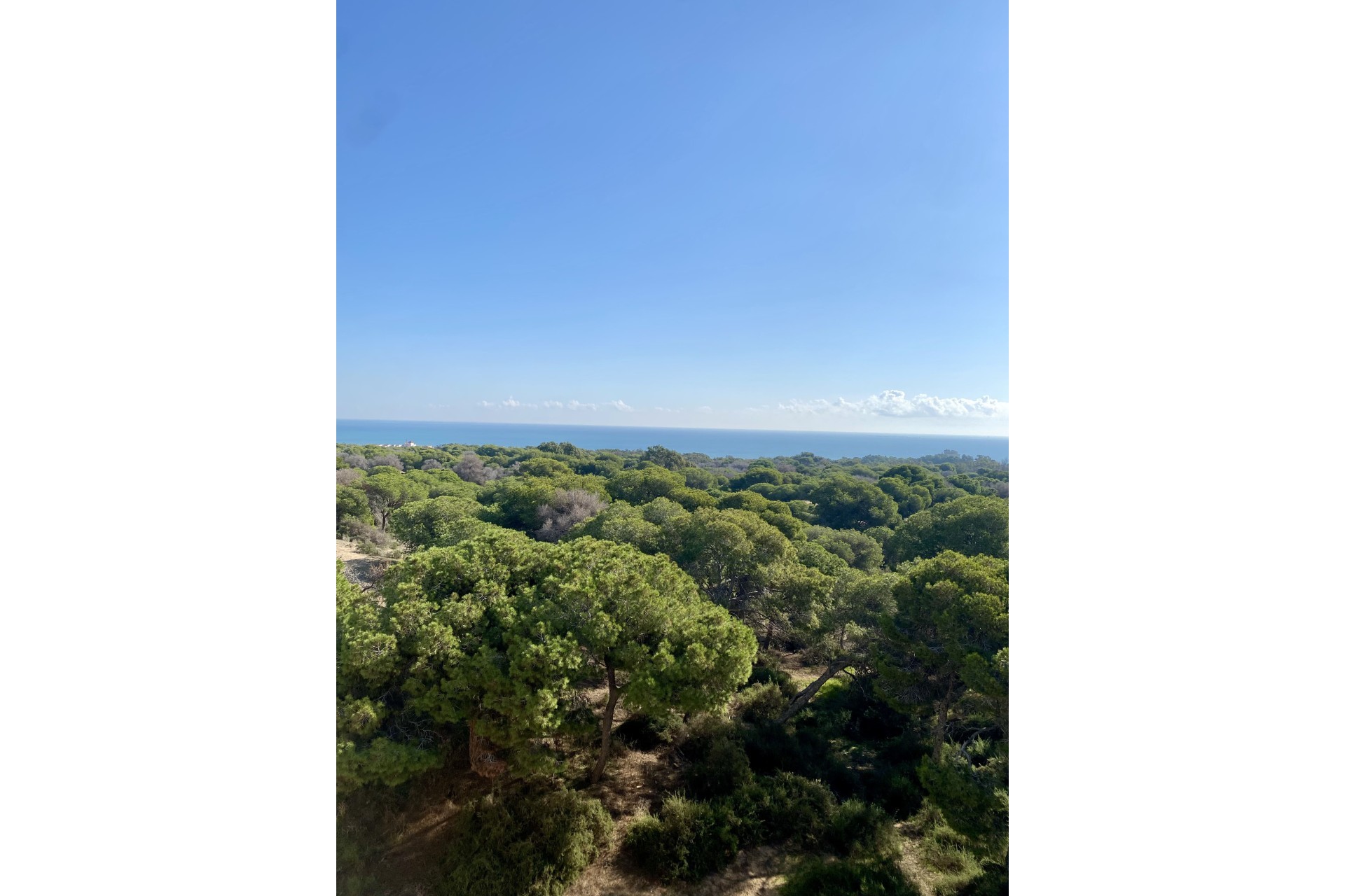 New Build - Ground-floor - Guardamar del Segura