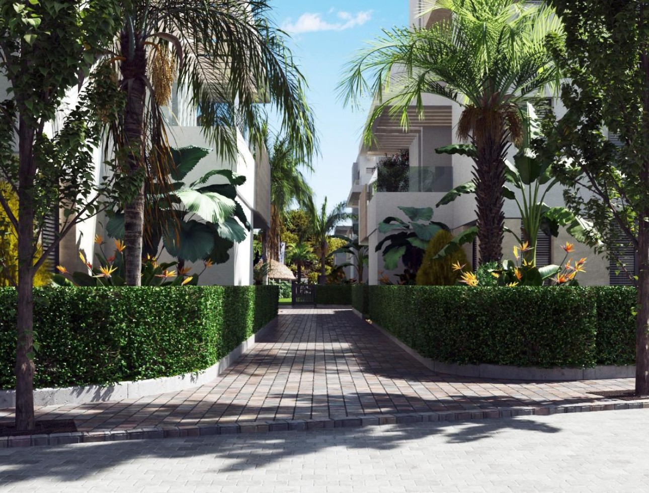 New Build - Ground-floor - Santa Rosalía