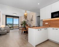 New Build - Penthouse - Benijófar