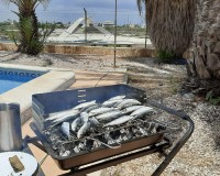 New Build - terraced - La Manga del Mar Menor