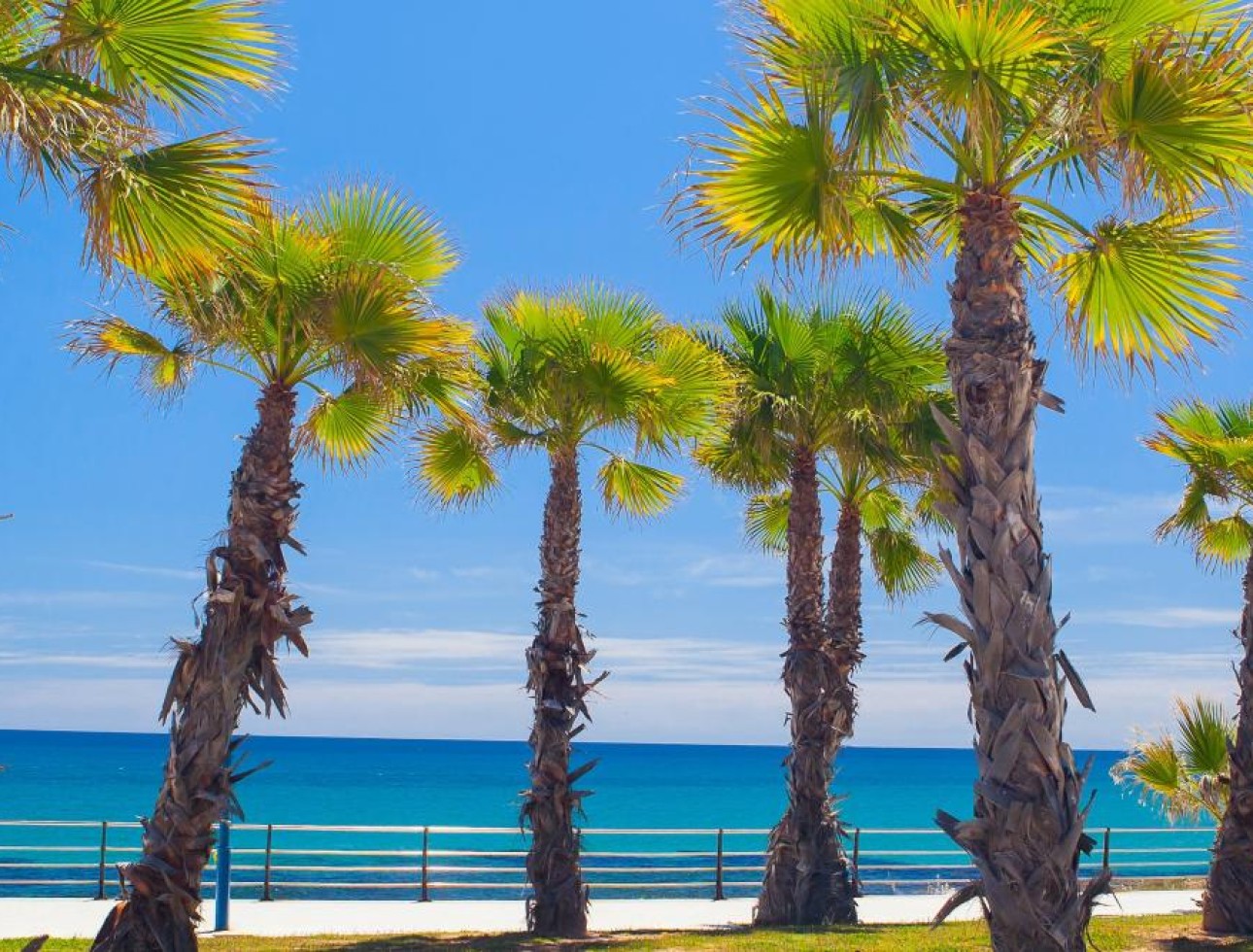 Nieuwbouw Woningen - Appartement / flat - Cabo Roig