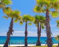 Nieuwbouw Woningen - Appartement / flat - Cabo Roig