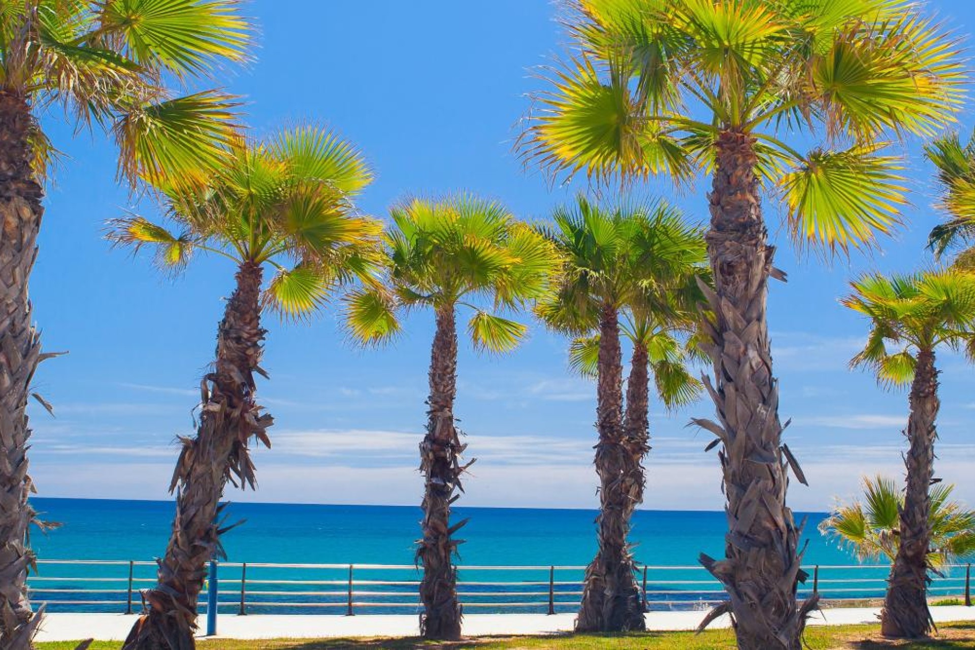Nieuwbouw Woningen - Appartement / flat - Cabo Roig