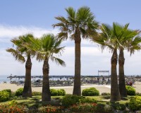 Nieuwbouw Woningen - Penthouse - Las Lagunas de Mijas