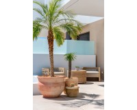 Nieuwbouw Woningen - terraced - Dolores