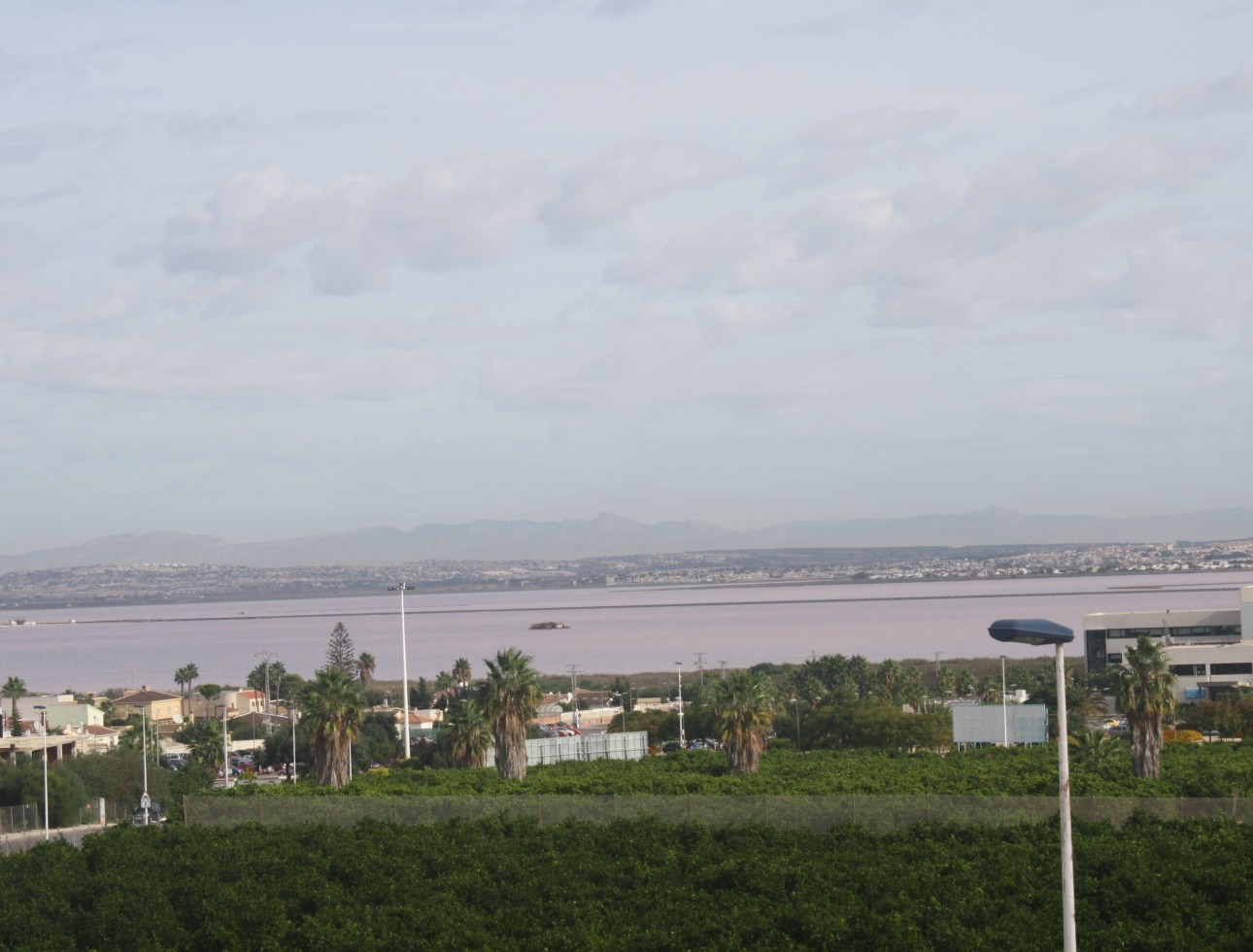 Nieuwbouw Woningen - terraced - Torrevieja