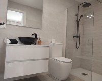 Nieuwbouw Woningen - Vrijstaande woning - Balsicas