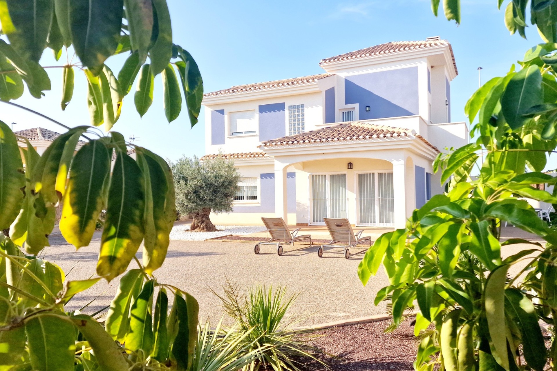 Nieuwbouw Woningen - Vrijstaande woning - Purias