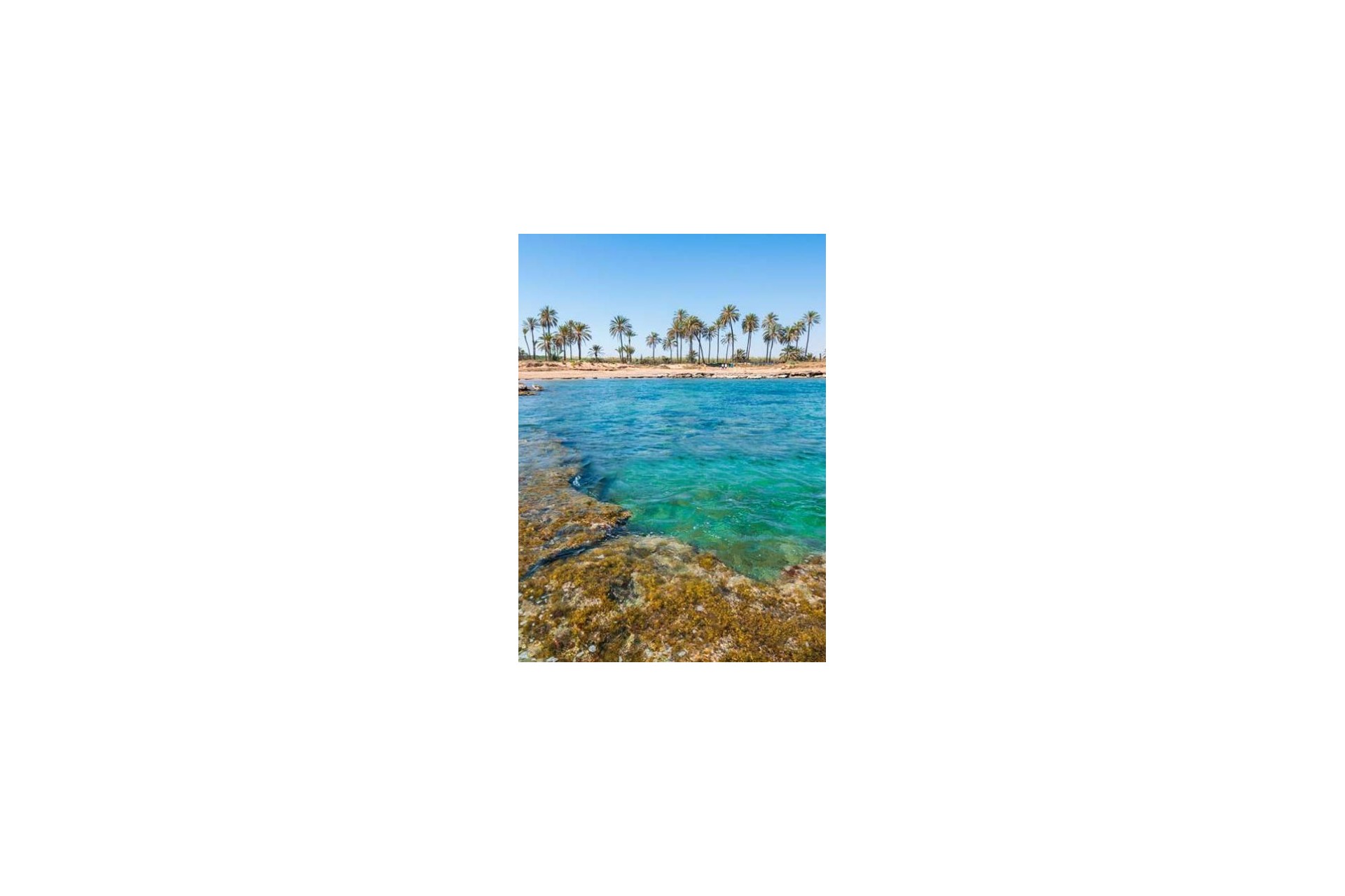 Nouvelle construction - Appartement - Torrevieja