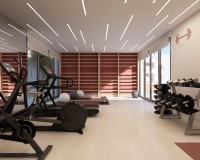 Nouvelle construction - Attique - Casares