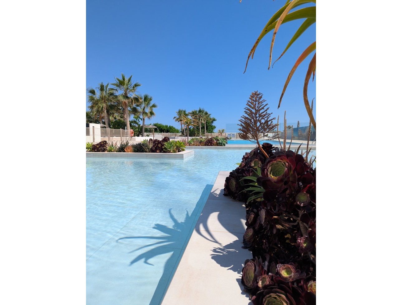 Nouvelle construction - Attique - Denia