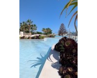 Nouvelle construction - Attique - Denia