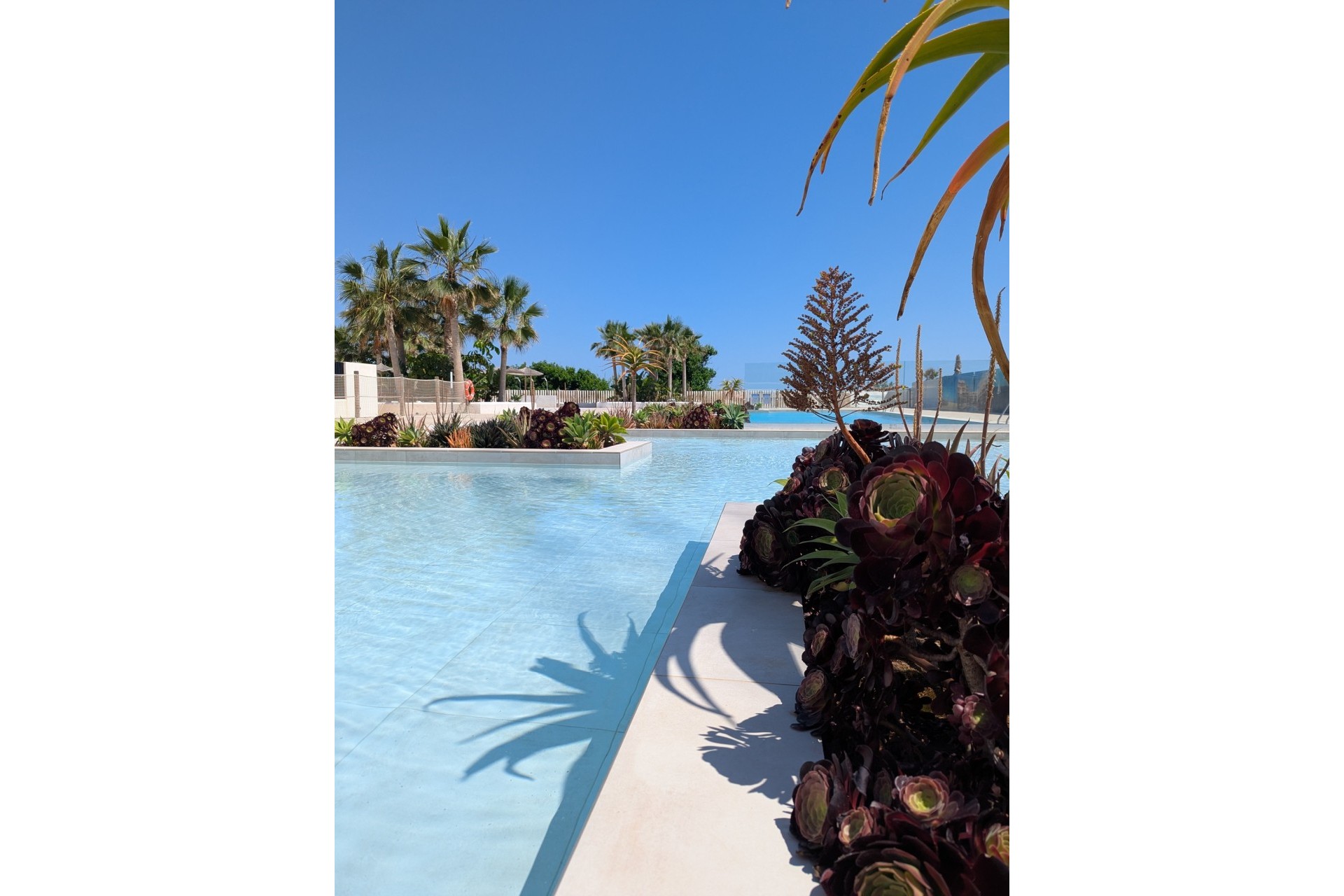 Nouvelle construction - Attique - Denia