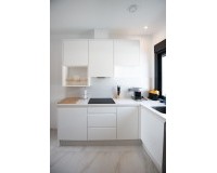 Nouvelle construction - Maison individuelle - Pinar de Campoverde