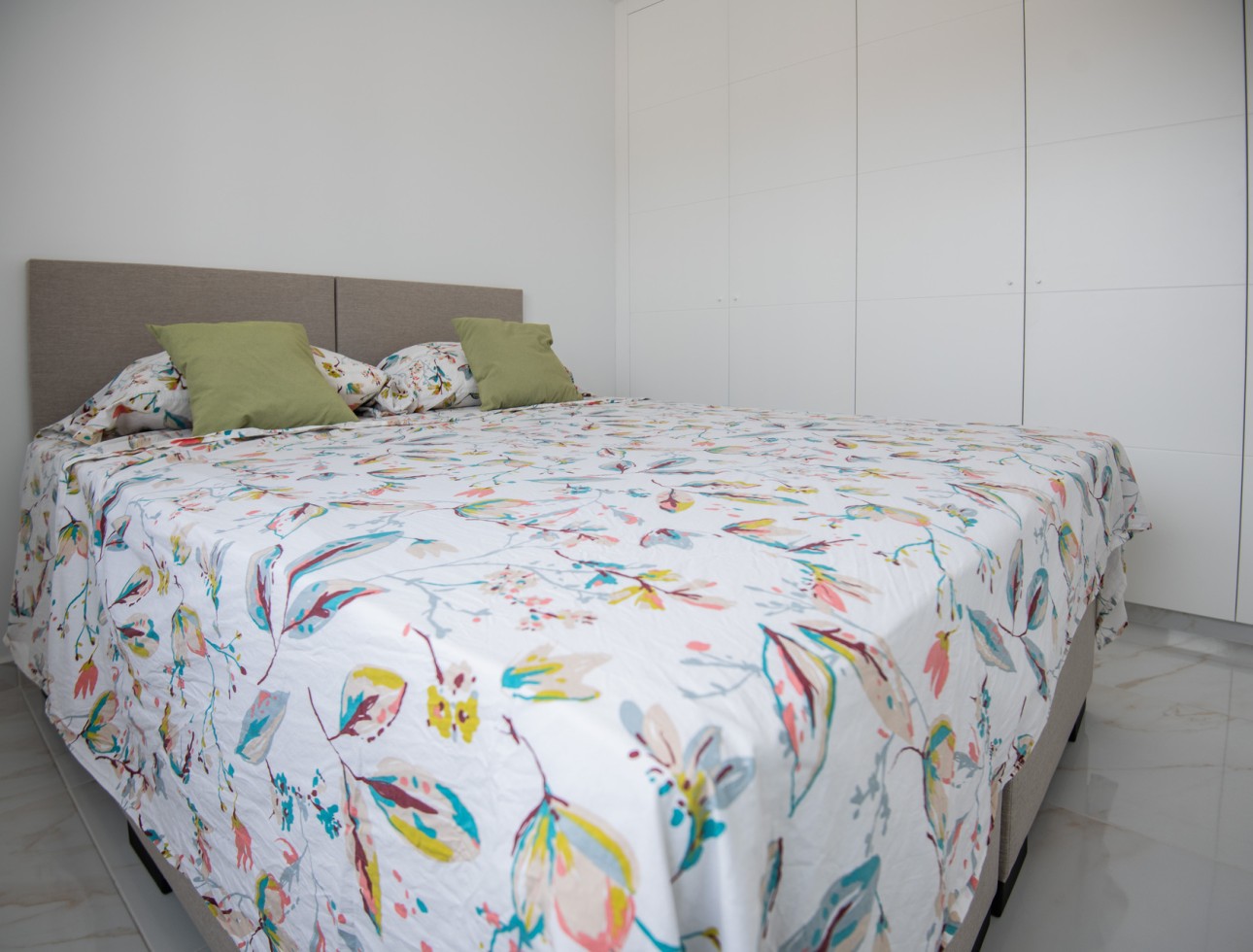 Nouvelle construction - Maison individuelle - Pinar de Campoverde