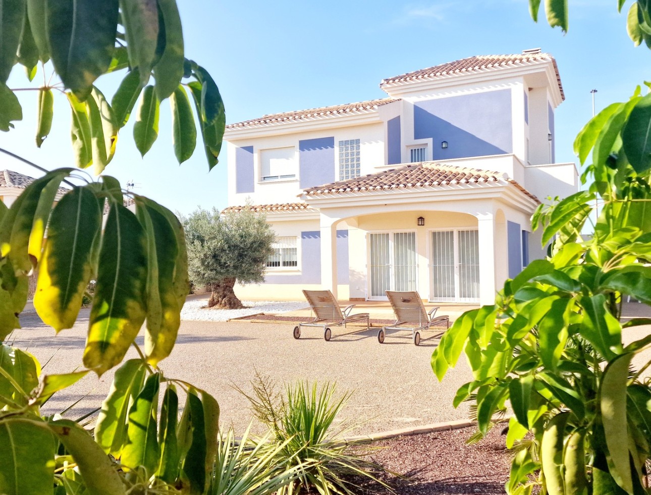 Nouvelle construction - Maison individuelle - Purias
