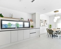 Nouvelle construction - Maison individuelle - San Miguel de Salinas