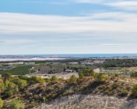 Nouvelle construction - Maison individuelle - San Miguel de Salinas