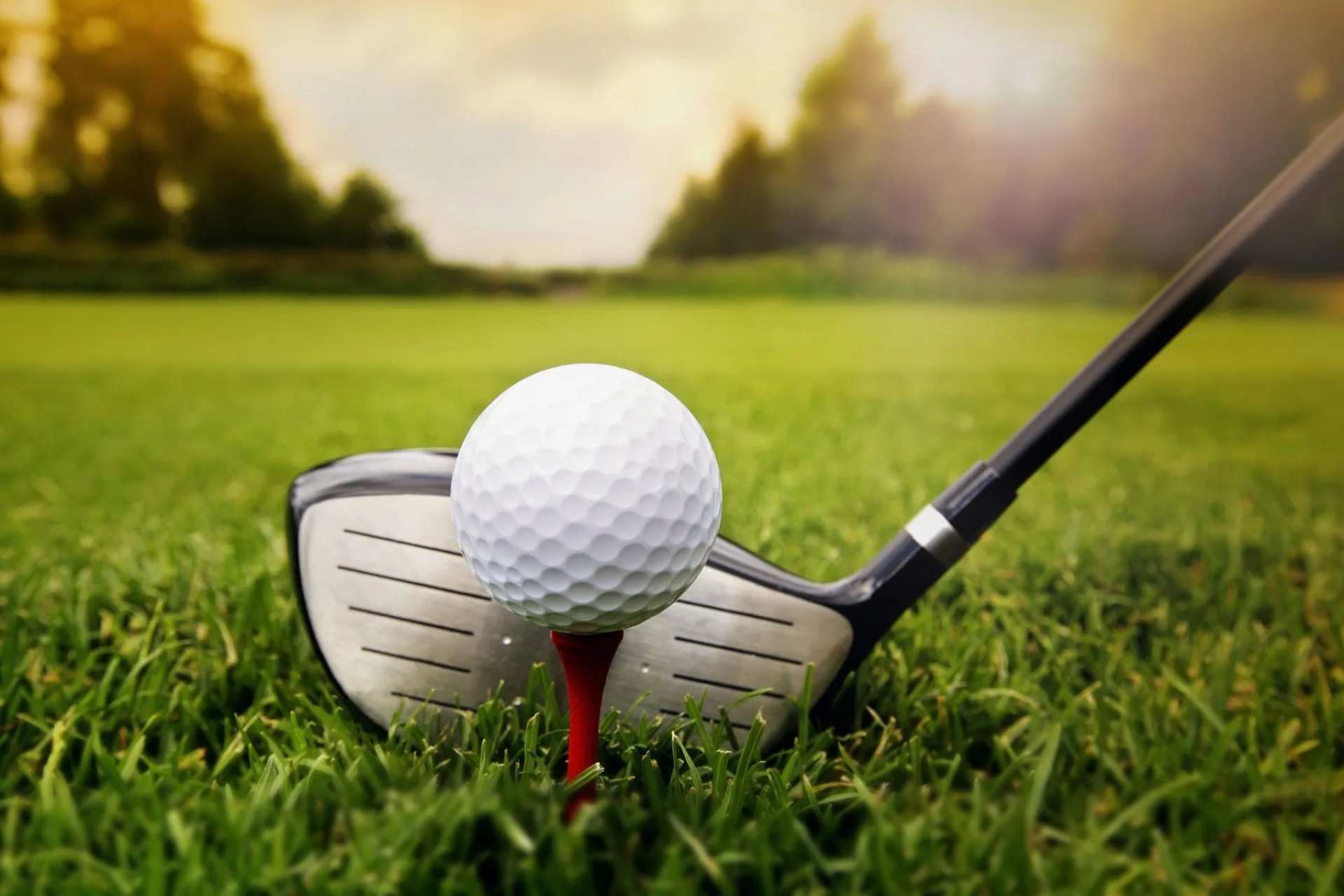 Nouvelle construction - Maison individuelle - San Pedro del Pinatar