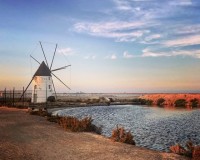 Nouvelle construction - Maison individuelle - San Pedro del Pinatar